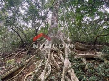 Terreno · Lote em condomínio em Av Ari Augusto De Matos - Sobradinho - Lagoa Santa/MG