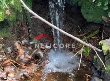 Rural · 60000m² · Sítio em  Alto Feliz - Centro - Alto Feliz/RS