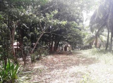 Terreno , Camaçari · Terreno/Área/ Loteamento 12.000m2 com 2 Acessos (Frente Rua e Lateral)-Monte Gordo-Camaçari