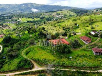 Rural , Chã Grande · Sítio com 12,4 hectares à venda em Chã Grande/PE!