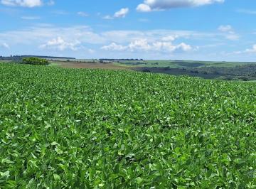 Rural de 1 quarto, Cornélio Procópio · Terra roxa no Paraná p o soja