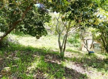 Foto 01 · Vendo terreno no bairro Maravilha em Paty do Alferes - RJ