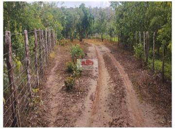 b1a73b4a646792b16b413844415e690f.jpg · Fazenda com 143 hectares, terra bruta, dupla aptidão, distante 39km da área urbana