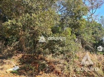 terreno-a-venda-424-3m-estrela-ponta-grossa-pr1699968376620rrluq.jpg · Terreno à venda 424.3M², Estrela, Ponta Grossa - PR