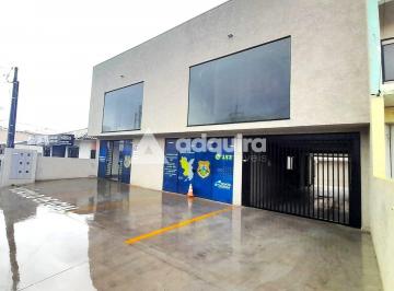 whatsapp-image-2024-10-14-at-11-01-431728919422478.jpeg · Excelente sala comercial para locação, fundos, 75 m², 1 banheiro, Santa Paula, bairro Contorno, Pont