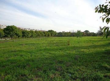e52247072427a9cbec6661fa8dccdbb3a2c7fc54 · Terreno à venda, 859 m² por R$ 600.000,00 - Condomínio Palmeiras Imperiais - Salto/SP