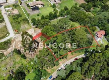 Terreno · 2384m² · Lote em  Rua Alziro Tôrres Filho - Centro - São Francisco de Paula/RS