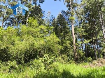 Terreno · 840m² · Terreno de 840m² em Cond. Fechado as Margens da RS 040