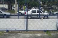 92511_im1d3g_9251164688ca896879.jpg · Terreno à venda - no Jardim Paulista