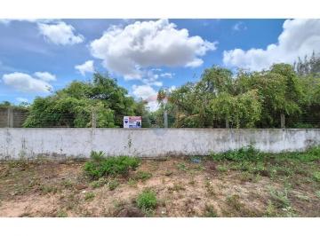 Terreno · 2000m² · 4 Vagas · vendo terreno com localização Ideal em Pium: 2000m², Oportunidade Única" 15 minutos da praia cotovel