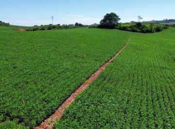 Rural · 1210000m² · FAZENDA PRODUTORA DE SOJA