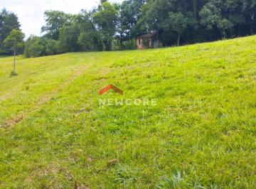 Terreno · 37347m² · Lote em  25.000 m2 de área limpa - Perimetro 977.820 m2 - Balsa Nova/PR