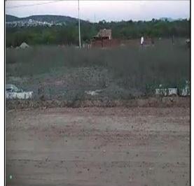 Photo_0 · 
                Oportunidade Única em JATAUBA - PE | Tipo: Terreno | Negociação: Venda Online  | Si