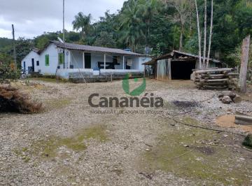 Foto 10 · Sítio 4 alqueires - Bairro Ex-Colônia - Cananéia Litoral Sul de SP