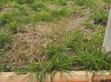 Terreno · 260m² · Terrenos LoteTerreno em Ribeirão Preto