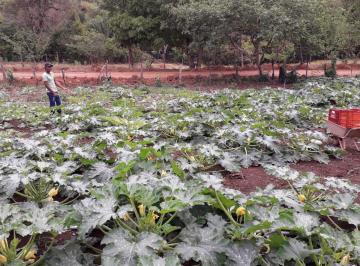 Rural de 3 quartos, Padre Bernardo · VENDO FAZENDA A 30 KM DE BRASLANDIA-CASA-CURRAL-BRETE -DOCUMENTAÇÃO 100%-AC PERM