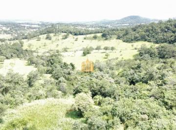 Foto 01 · Fazenda Caio Martins ? 34,5 ha com Casa e Estrutura Completa