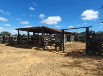 Rural · 7156500m² · Fazenda 715,65 hectares/1646 tarefas à venda na Chapada Diamantina, Morro do Cha