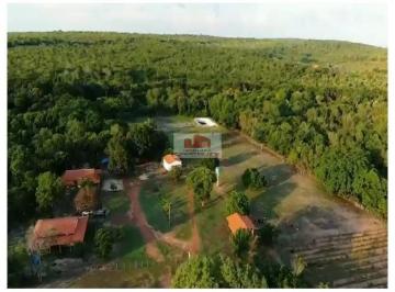 a5825521b602acbba8b634e21b6060c7.jpg · Fazenda na região de Cocal-PI, com 1930 hectares, com 1400 hectares com fase final de licença para s