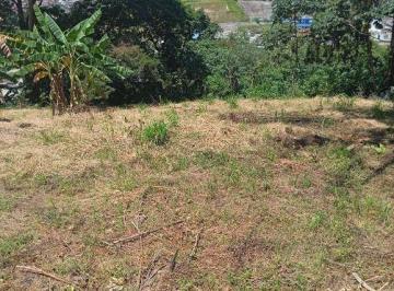 7dcee5c447fc56cf31c81d515a15b1b786b21d67 · Área à venda, 10000 m² por R$ 14.000.000,00 - Três Cruzes - São Paulo/SP