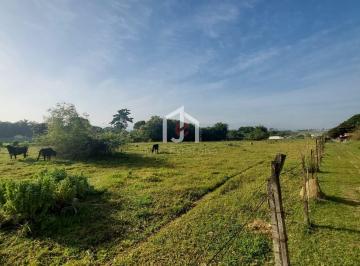 8981_i853P7H7_8981645a4ac091ae3.jpg · Terreno à venda - em Feital