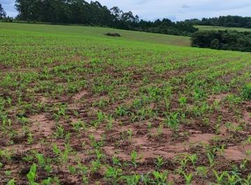 Foto 01 · Fazenda de 75 alqueires à venda em São Miguel Arcanjo/SP - Excelente oportunidade de investimento!