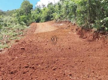 Terreno · 5000m² · Área de terra bairro Linha Olinda, Nova Petrópolis. RS