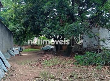 273f1a20-f1ce-47c4-9ac4-7ef0aafb98c5.webp · Terreno à Venda, Piratininga (venda Nova), Belo Horizonte