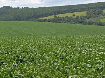 Foto 01 · Oportunidade única: Sítio à venda em Pilar do Sul-SP, Zona Rural! 484.000m² de área!