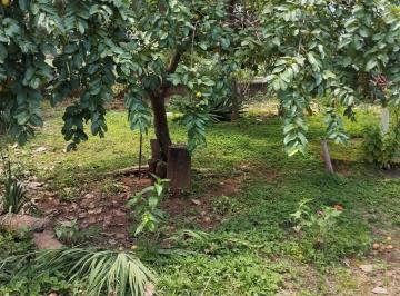 Rural de 3 quartos, Brazlandia · Brazlândia, Chácara 5000m², própria para plantio, escriturada