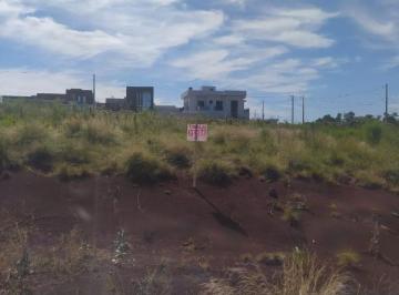 Foto 01 · Terreno, Reserva das Missões, Santo Ângelo, RS