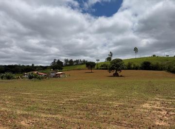 Foto 23 · SÍTIO 5 HECTARES TODO PIQUETADO, C/ TERRA EXCELENTE E ÁGUA CORRENTE À VENDA EM ENTRE RIOS DE MINAS/M