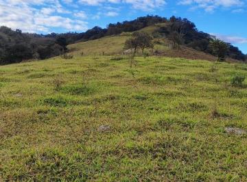 Foto 01 · TERRENO 9,5 HECTARES FORMADO, C/ ÁGUA CORRENTE E LUZ LIGADA À VENDA EM PIRACEMA/MG