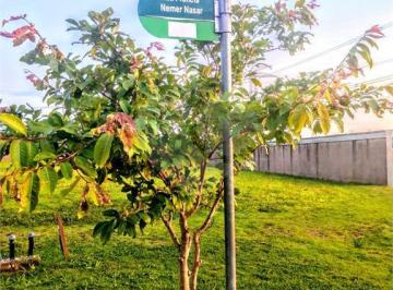 Sem Categoria · Loteamento à venda em Chácara são rafael - SP