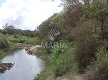 Rural , Jupi · Sítio com 83 Hectares à venda em Jupi/PE!