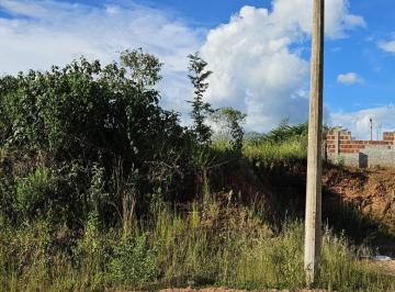 202502201130144031.jpg · Terreno para Venda em Ibirá, Termas de Ibirá