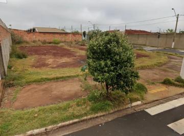 Terreno · 307m² · Terreno à venda com 307,20 m² de área no bairro Jardim Cristo Redentor, em Ribeirão Preto/SP.