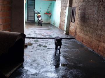 Casa · 63m² · 4 Quartos · 1 Vaga · Casas Residenciais Padrão em Ribeirão Preto