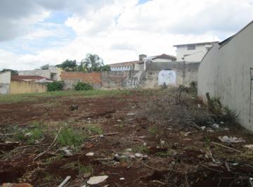 Terreno · 1000m² · Terreno térreo para Locação no bairro Jardim Botânico em Ribeirão Preto/SP.
