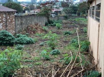 Terreno · 1500m² · Terrenos LoteTerreno em Ribeirão Preto