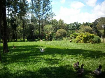 Rural · 8000m² · 5 Quartos · 14 Vagas · Chácaras/Imóveis Rurais RanchoSítio em Ribeirão Preto