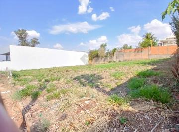 Terreno · 1200m² · Terreno misto para Locação no Bairro City Ribeirão, em Ribeirão Preto