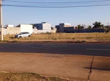 Terreno · 3670m² · Terreno Jardim Das Palmeiras em Ribeirão Preto