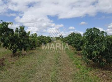 Terreno de 2 quartos, Petrolina · Área com 12,5 hectares em Petrolina/PE