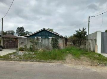 Terreno · 750m² · Lote Plano e Murado de 15x50m no Atuba Pronto para Construir