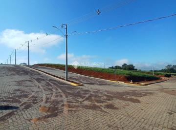 IMG-20240327-WA0037 · Terreno à venda em Estrela - Pinheiros