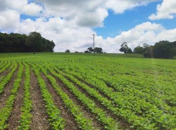 Foto 01 · EXCELENTE SÍTIO A VENDA EM ITARARÉ - SP ??   Área Total: 24,61 Alqueires  Área de Plantio: 16 Alquei
