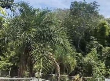 Rural de 3 quartos, Ceilândia · VENDO BELÍSSIMA CHÁCARA COM CASA DE ANDAR-PISCINA-AÇUDE-POMAR AC IMÓVEL E CARRO!