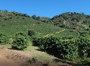 4d920b59eb68b1d7e9c614ff8bac9db0.jpg · Fazenda / Sítios / Chácaras à venda em Lambari, no bairro Zona Rural