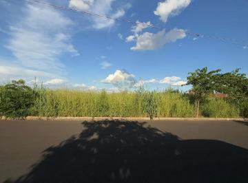 Terreno · 250m² · Terrenos LoteTerreno em Sertãozinho